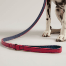 Joules Leather Dog Lead - Large additional 6