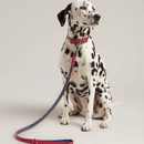 Joules Leather Dog Lead - Large additional 5