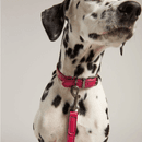 Joules Leather Dog Lead - Large additional 8