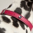 Joules Leather Dog Collar - Pink - Small additional 2