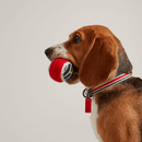 Joules Outdoor Rubber Balls - Pack of 3 additional 3