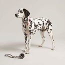 Joules Rubber and Rope Dog Toy additional 1