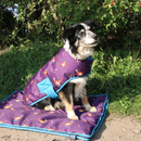 Benji &amp; Flo Patrick the Pheasant Dog Bed - Plum Wine/Turkish Teal/Amber Brown additional 5