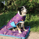 Benji &amp; Flo Patrick the Pheasant Waterproof Dog Coat - Plum Wine/Turkish Teal/Amber Brown additional 3