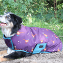 Benji &amp; Flo Patrick the Pheasant Waterproof Dog Coat - Plum Wine/Turkish Teal/Amber Brown additional 4