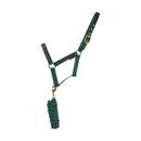 Hy Equestrian Elegant Stirrup and Bit Head Collar and Lead Rope - Forest Green/Gold/Silver additional 1