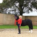 Hy Sport Active Base Layer - Rosette Red additional 3