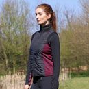 Hy Equestrian Knightsbridge Sports Gilet - Black/Fig additional 3