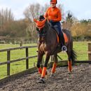 Hy Sport Active Head Collar &amp; Lead Rope - Terracotta Orange/Grey additional 2