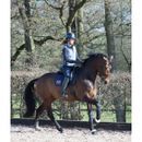 LeMieux ProSport Dressage Square (D-Ring) - Navy additional 2