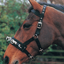 Hy Equestrian Lunge Cavesson - Black additional 2