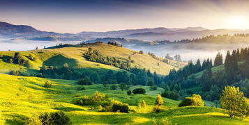 shutterstock_130505714