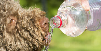 Shutterstock_429825454