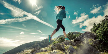 Shutterstock_380232163