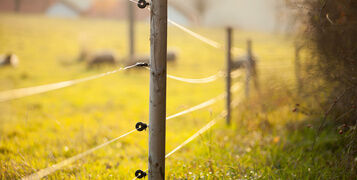 Shutterstock_265408172