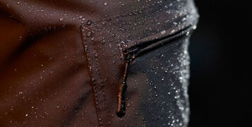 shutterstock_2162022317