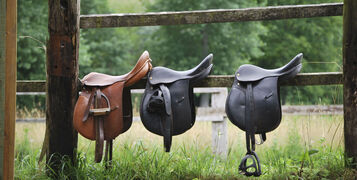 Shutterstock_50591980