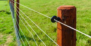 shutterstock_2038254815