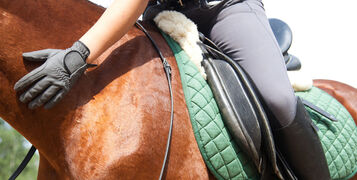 shutterstock_136078925