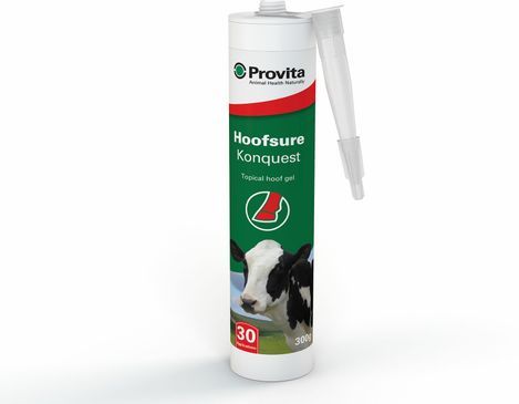 Cattle Hoof Care