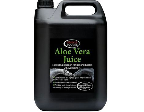 Equine Wound Care