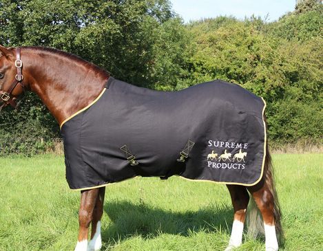 Turnout Rugs