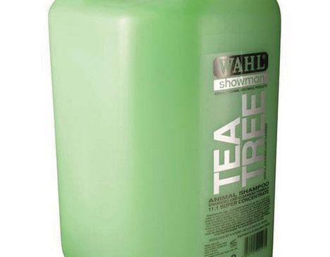 Shampoo &amp; Conditioners