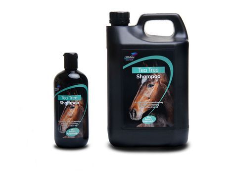 Shampoo &amp; Conditioners