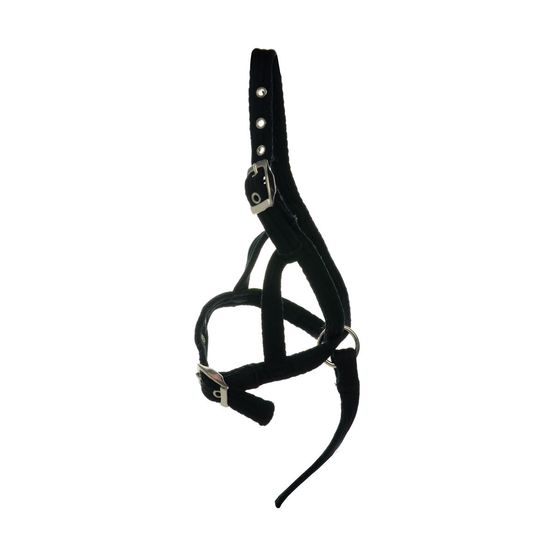 Hy Fully Adjustable Foal Slip Halter - Black