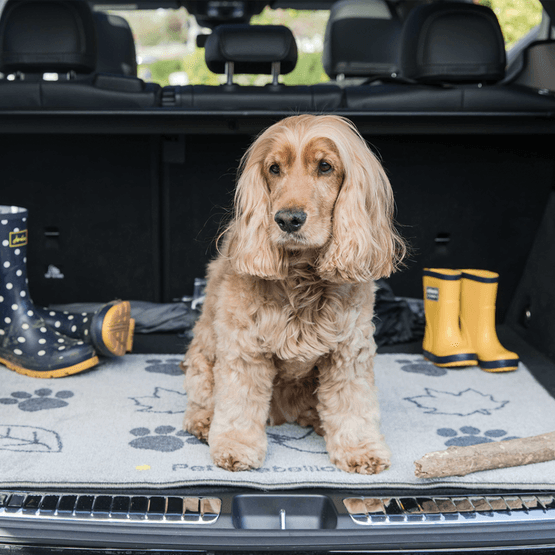 Pet Rebellion Country Walk Car Boot Mate Dog Mat 67 x 100cm