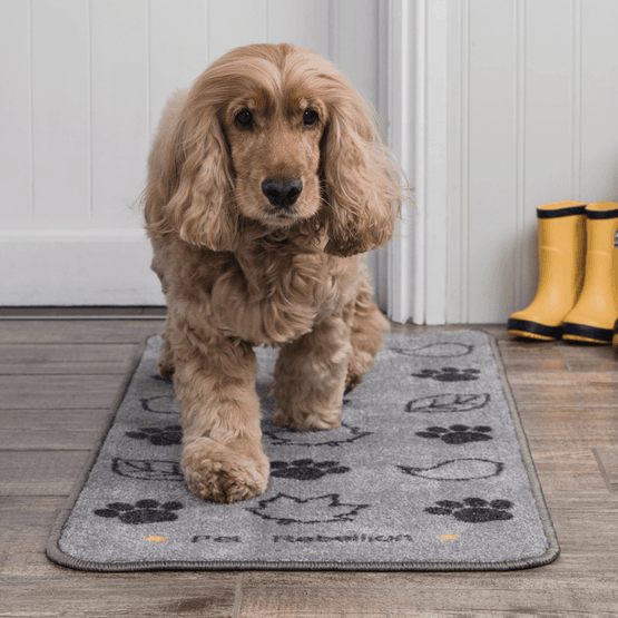Pet Rebellion Stop Muddy Paws Country Walk Grey Barrier Rug 45 x 100cm