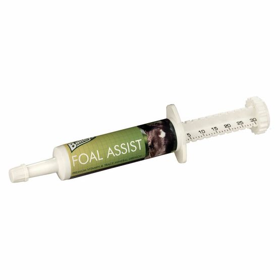 Baileys Foal Assist Syringe