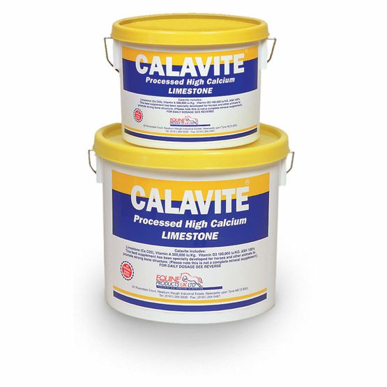 Calavite