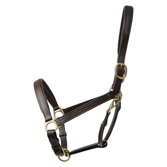 Coldstream Leather Padded Head Collar