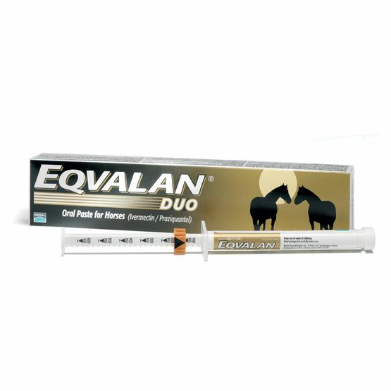 Eqvalan Duo