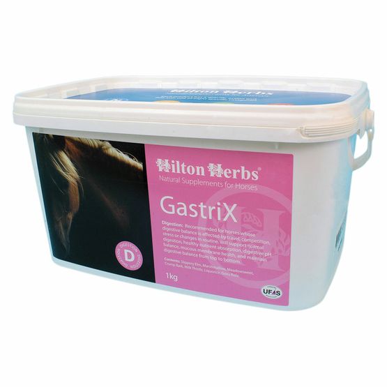 Hilton Herbs GastriX