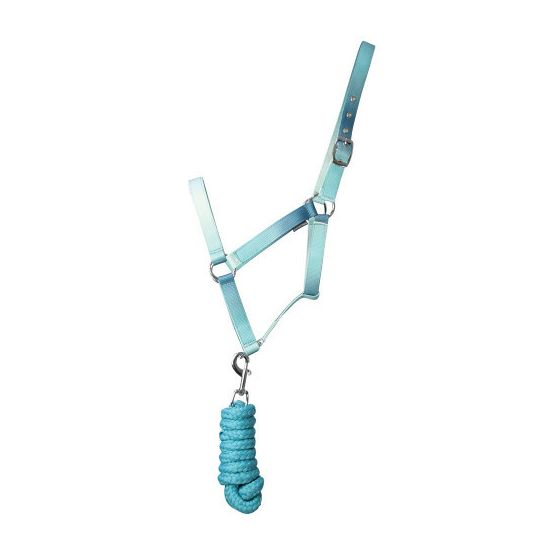 Hy Equestrian Ombre Head Collar &amp; Lead Rope