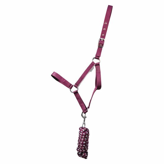 Hy Equestrian Synergy Head Collar