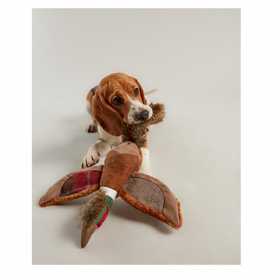 Joules Pheasant Dog Toy - One Size