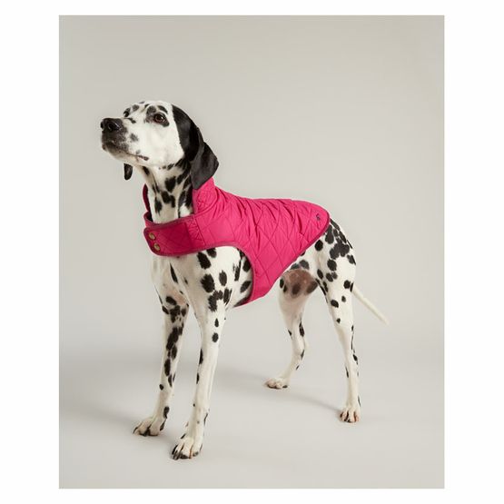 Joules Quilted Dog Coat