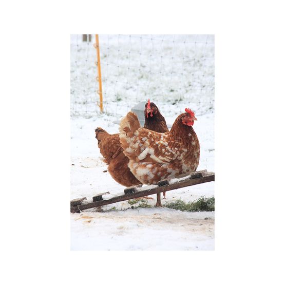 Kevin Milner Christmas Cards