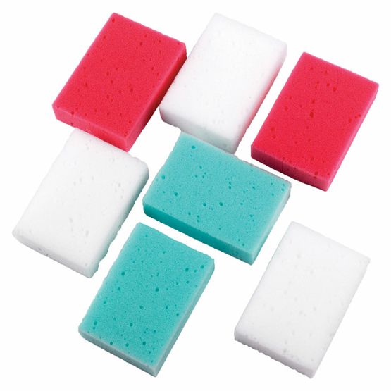 Lincoln Economy Sponge