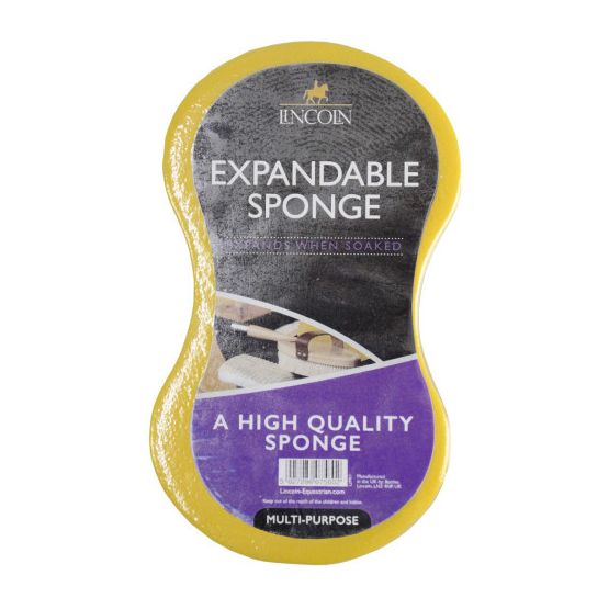 Lincoln Expandable Sponge - One Size