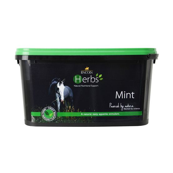 Lincoln Herbs Mint