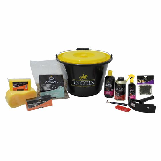 Lincoln Starter Bucket