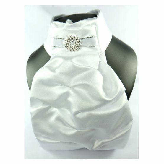 ShowQuest Regency V Stock