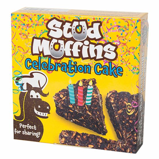 Stud Muffin Celebration Cake