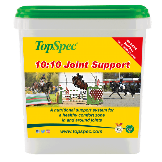TopSpec 10:10 Joint Support