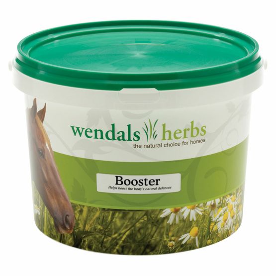 Wendals Booster