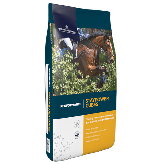 Dodson &amp; Horrell StayPower Horse Performance Cubes - 20kg